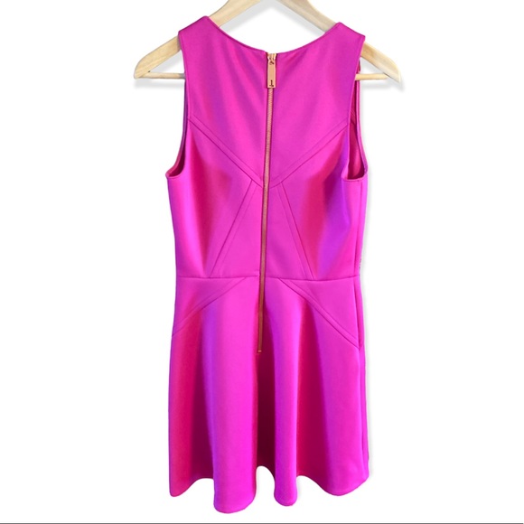 Ted Baker Fuchsia Skater Dress - Picture 4 of 7